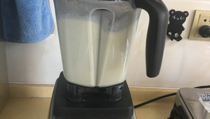 Vitamix Processor Soy Milk