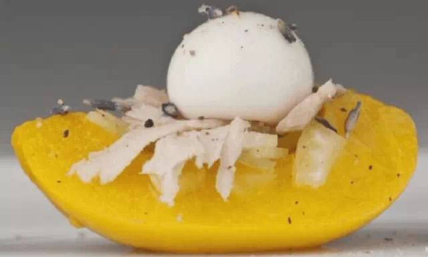 Molecular cuisine yogurt balls